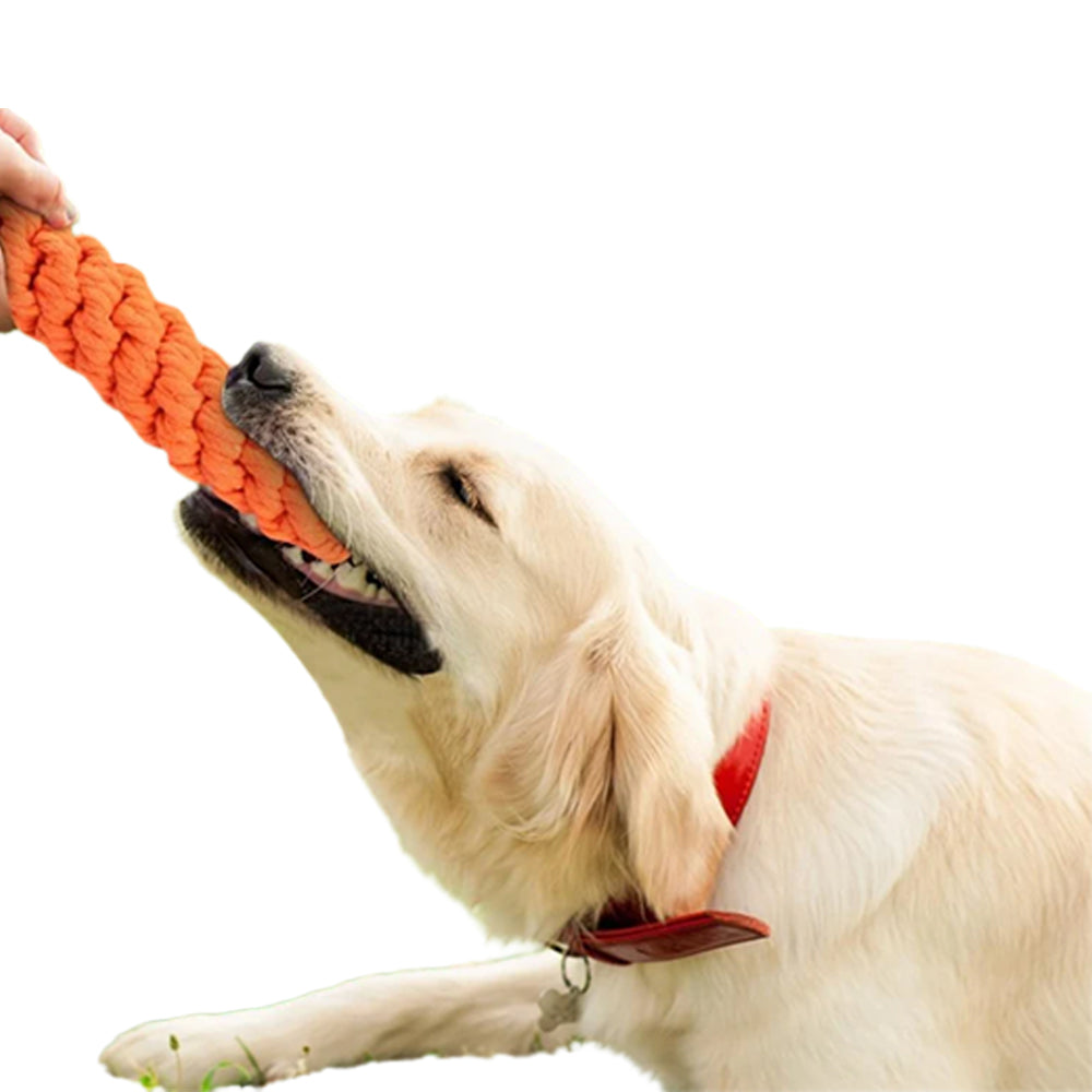 10Pcs Set Dog Chew Bite Toy Pet Braided Rope Toys Teeth Cleaning Toys Style 2