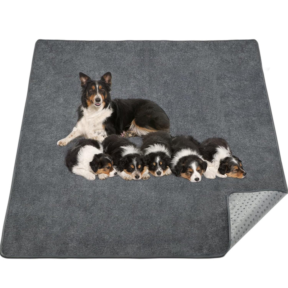 Coral Fleece Washable Dog Mat ââ‚?Non-Slip Reusable Pee Pad for Pets