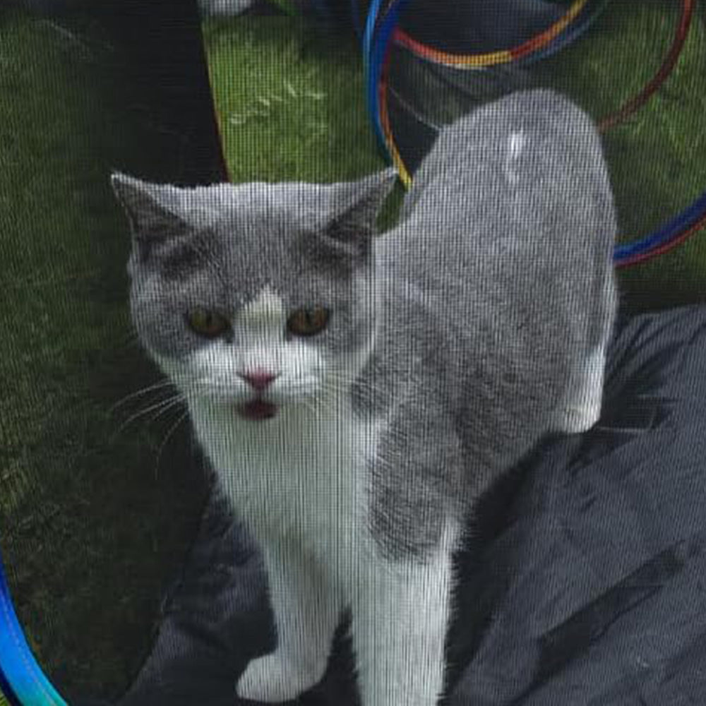 Outdoor Rainbow Cat Playpen ââ‚?Circular Enclosure with Tunnel & Catio