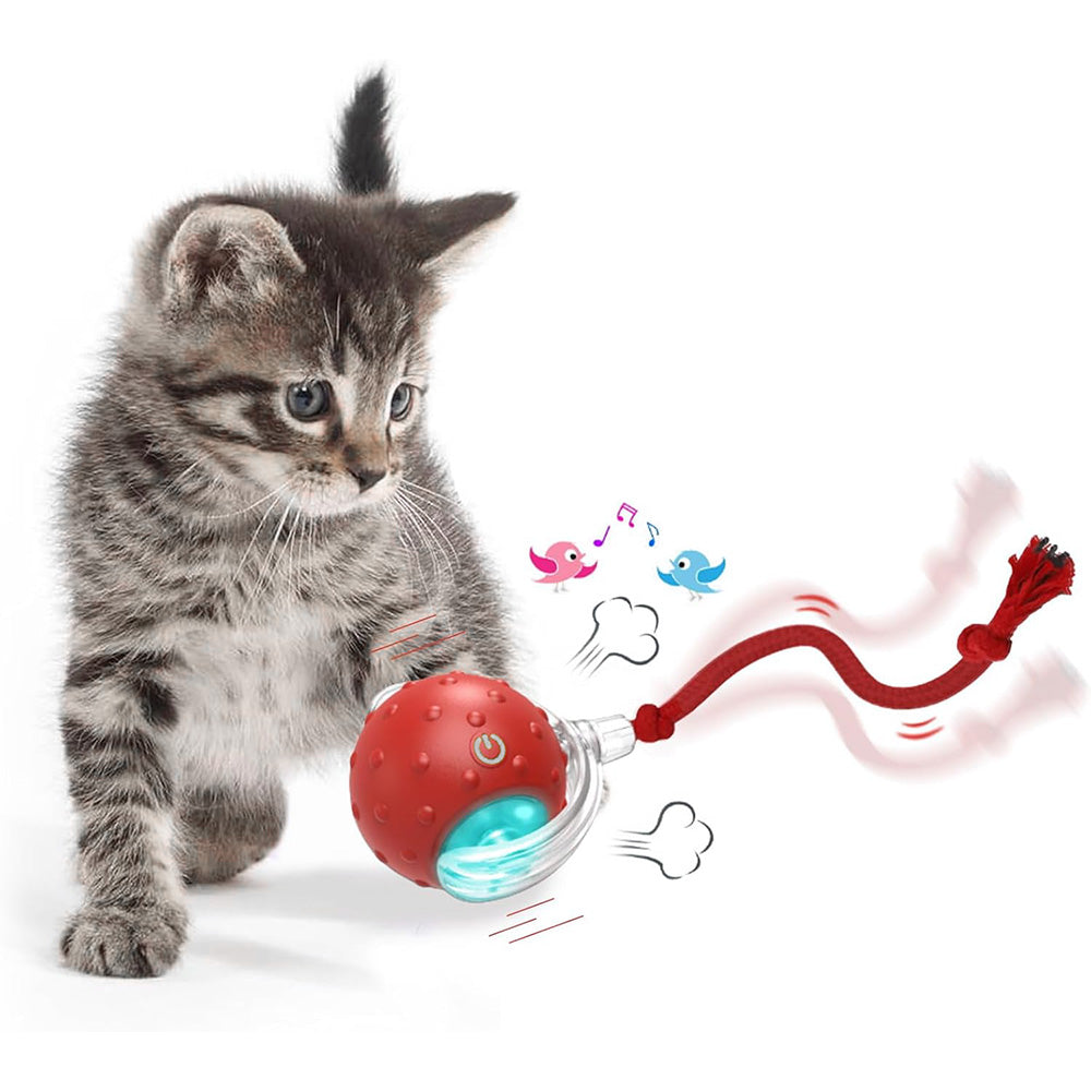 Motion Activate Interactive Cat Toy Rechargeable Smart Rolling Ball with Rope Red