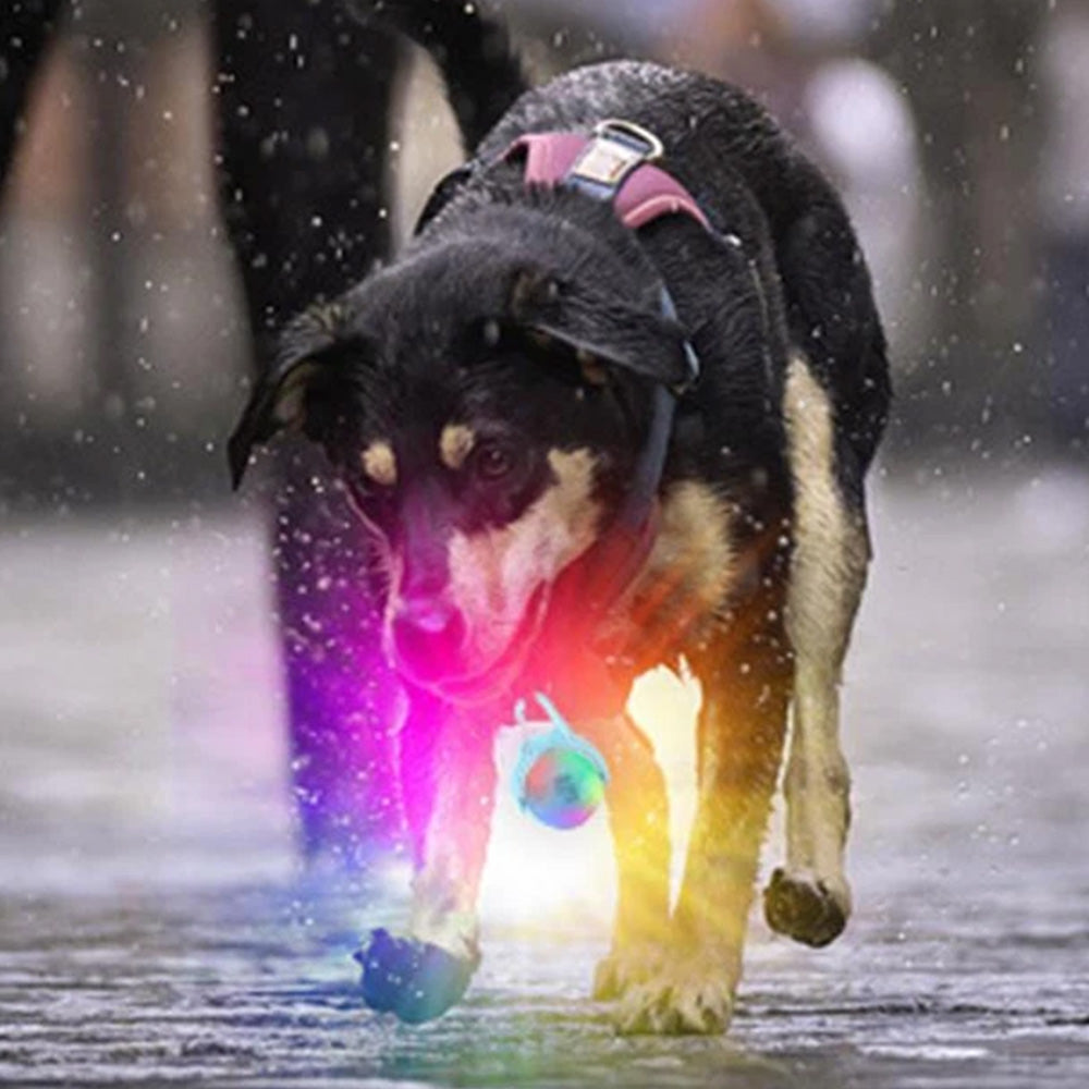 4-Mode Dog Collar Light for Night Walking Rechargeable Pet Collar LED Light Blue