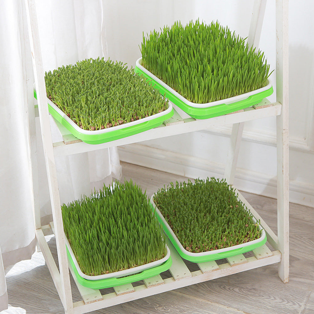 5Pcs Set Seed Sprouting Trays with Drain Holes Microgreens Growing Container Seed Germination Propagation Trays