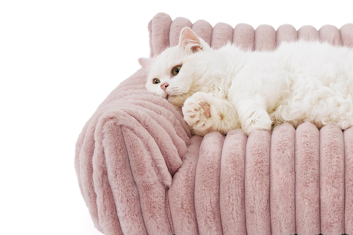Cat Couch Bed Fluffy Pet Sofa with Removable Washable Cover Non-Slip Bottom -Pink