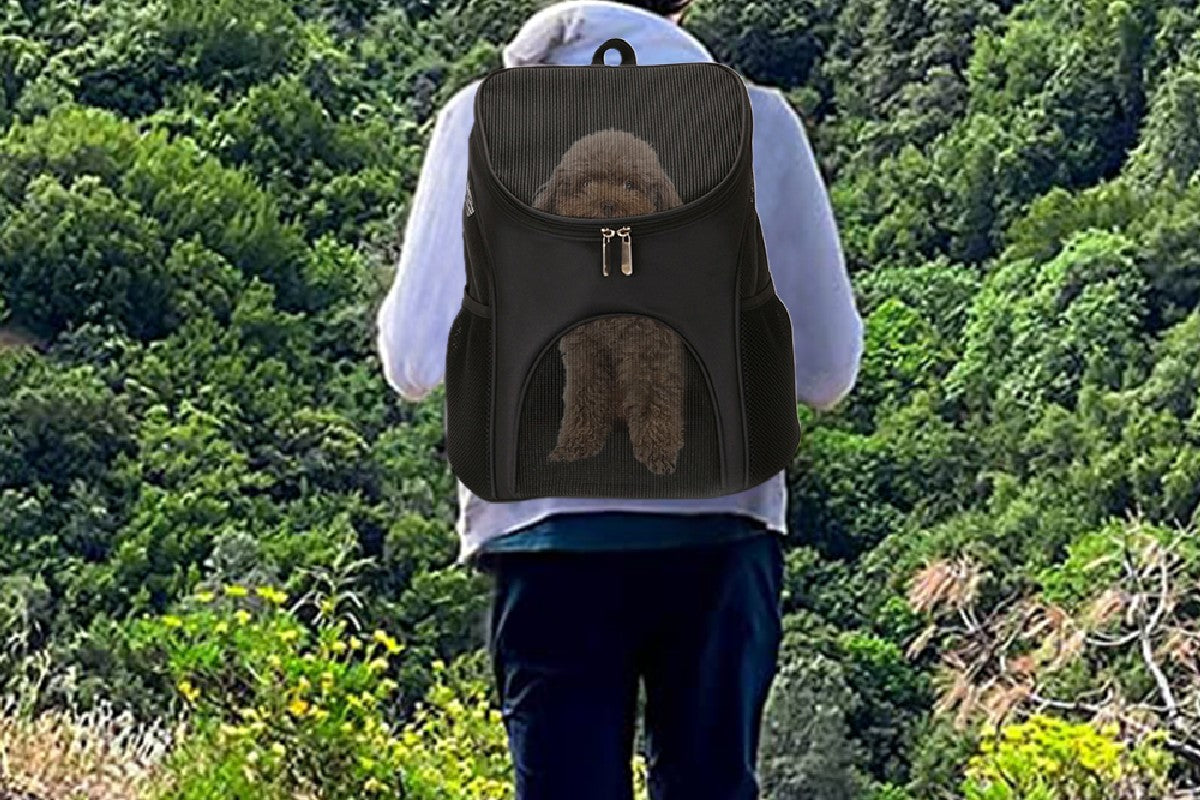Portable Travel Ventilated Design Breathable Pet Carrier Backpack For Dog And Cat-Black