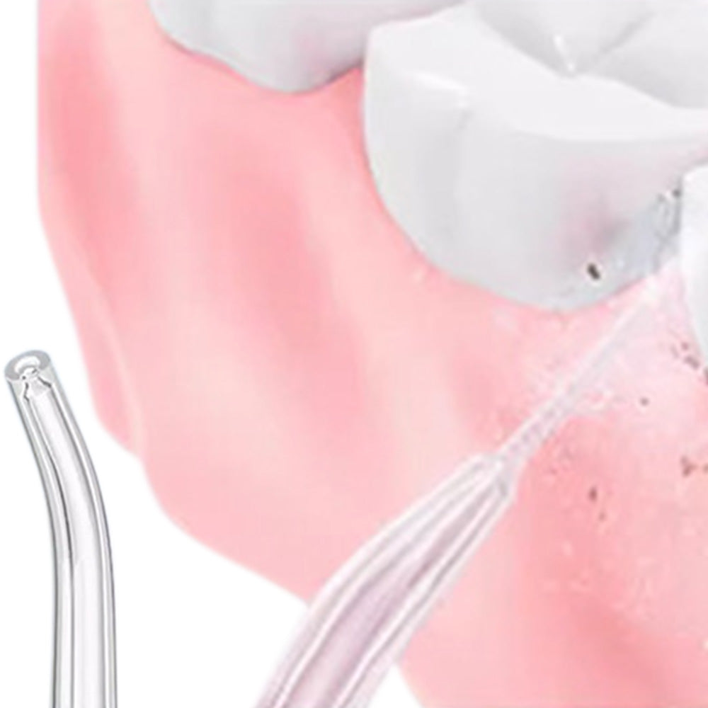 3-Mode Electric Water Flosser with 4 Flossing Nozzles