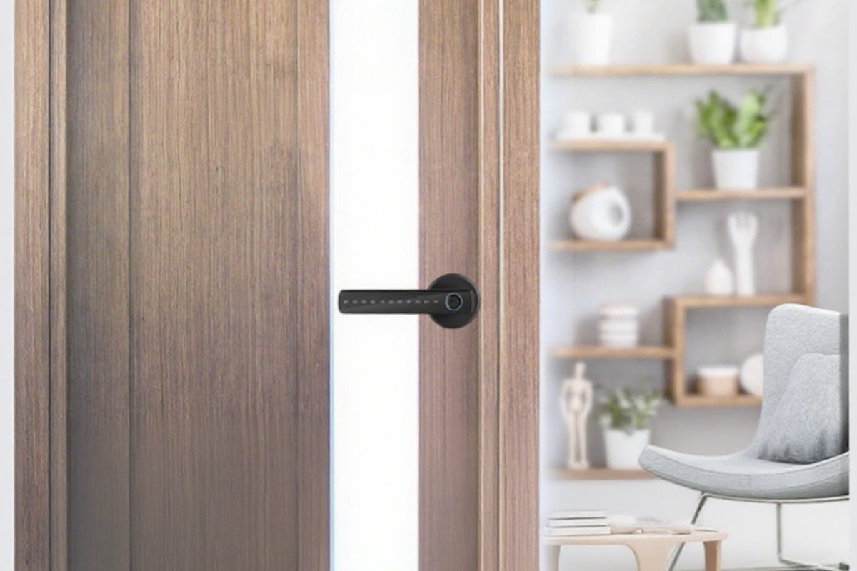 5 in 1 Smart Door Lock Fingerprint Door Knob with IC Cards and Backup Keys -Black