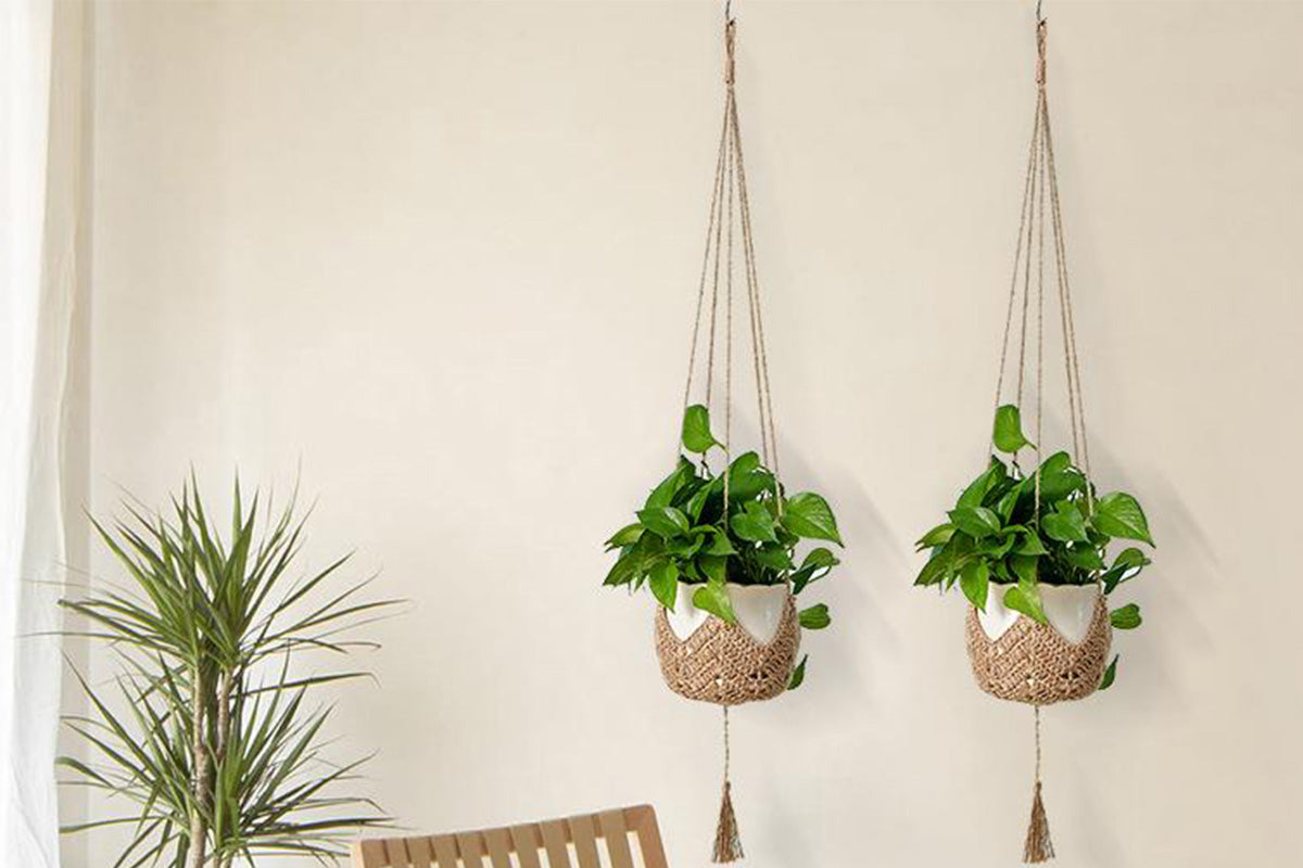 2Pcs Macrame Plant Hanger Indoor Outdoor for Different Size Hanging Planter Basket