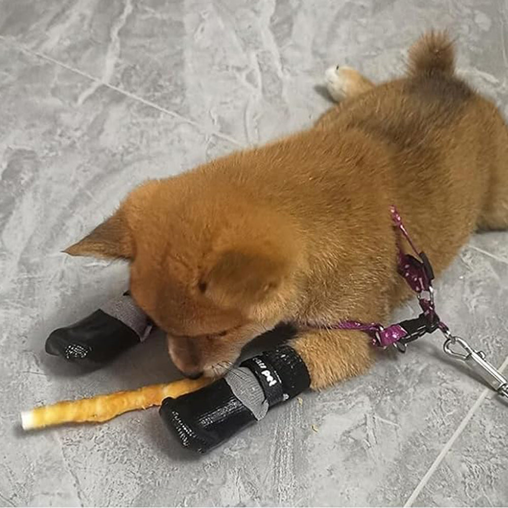 Waterproof Anti Slip Pet Shoes with Rubber Sole for Indoor and Outdoor Use Black