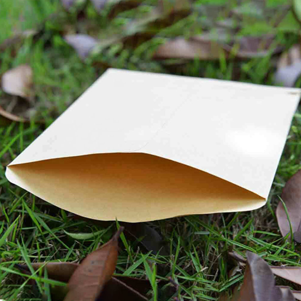 100-Pack Kraft Paper Seed Envelopes Garden Home Storage Bags Mini Envelopes 6x11cm for Seeds Jewelry