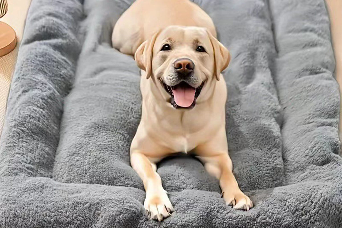 Comfortable Dog Bed Mat Cat Bed Mat Pets Bed Mat