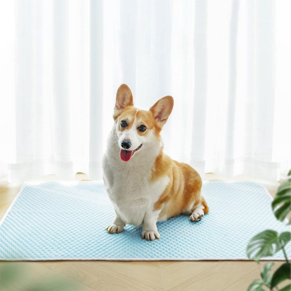 Pet Cooling Mat Dog Cat Breathable Summer Cooling Pad Light Blue