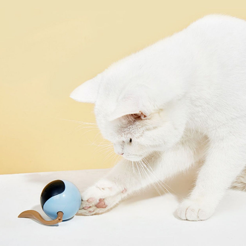 Electric Automatic Rolling Chase Ball Toy Interactive Cat Ball Toy Light Blue