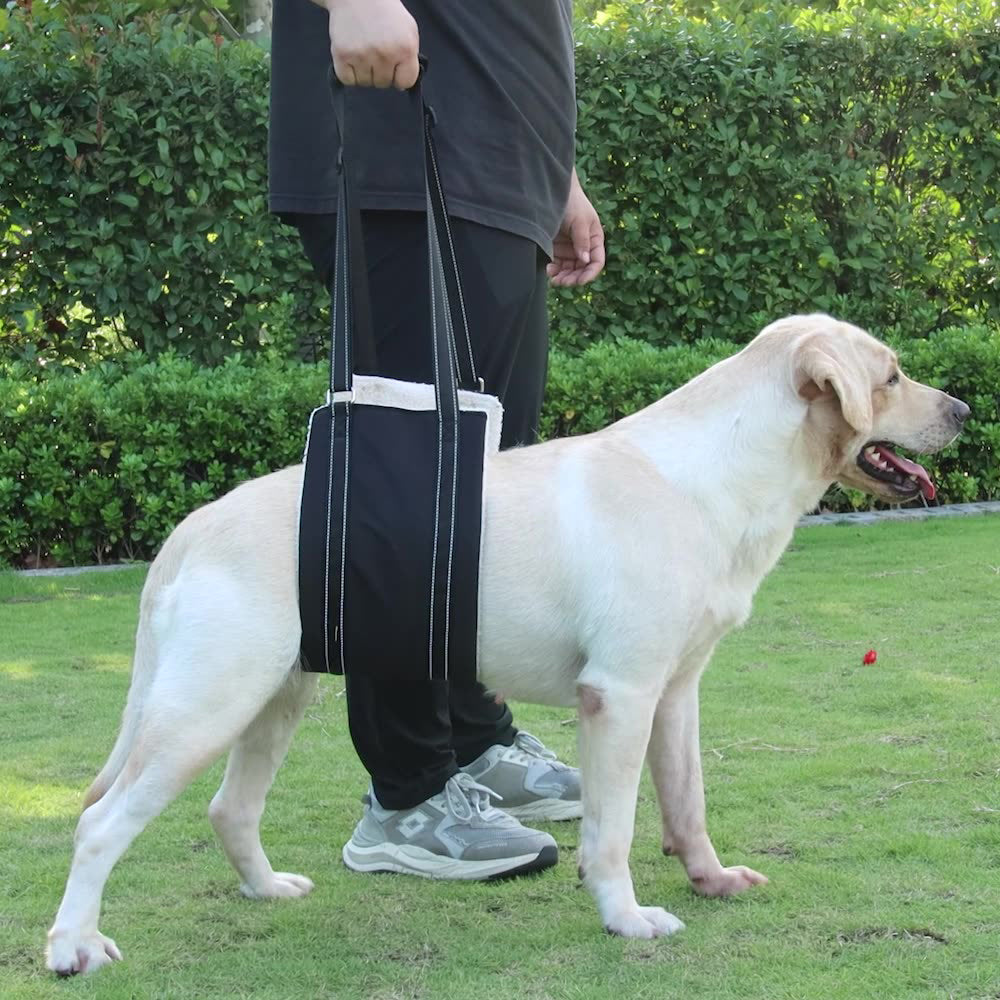Portable Dog Sling For Back Legs Hip Support Harness Canine Aid Rehabilitation S