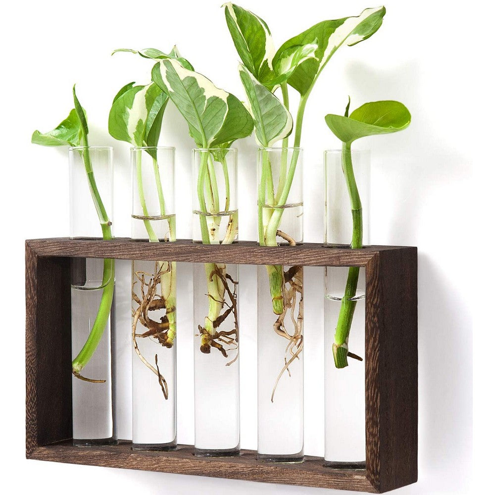 Wall Hanging Glass Planter Tabletop Plant Terrarium Flower Vase with 5 Test Tube for Home Office Decoration