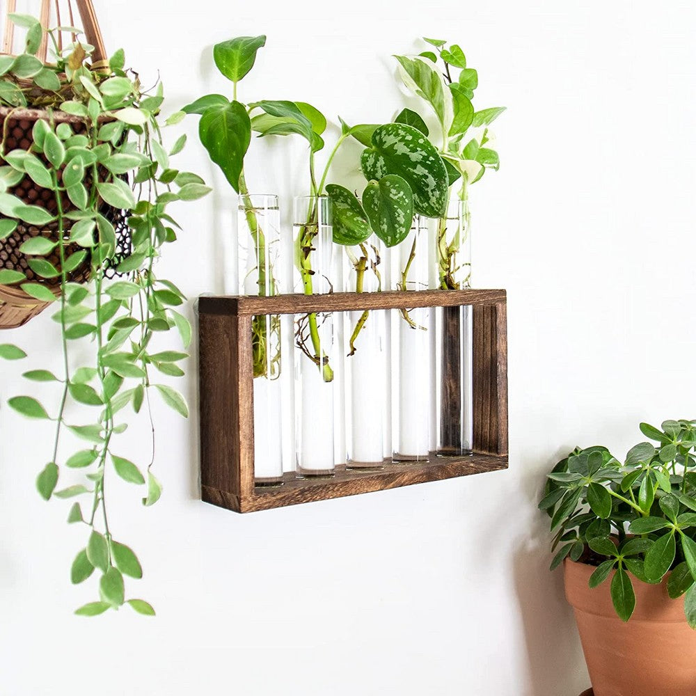 Wall Hanging Glass Planter Tabletop Plant Terrarium Flower Vase with 5 Test Tube for Home Office Decoration
