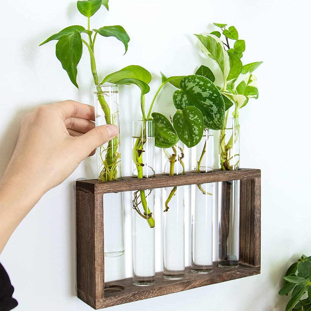 Wall Hanging Glass Planter Tabletop Plant Terrarium Flower Vase with 5 Test Tube for Home Office Decoration