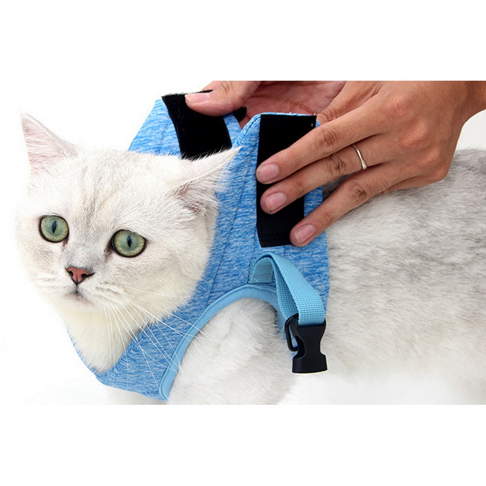 Pet Cat Harness and Leash Kit Medium Blue