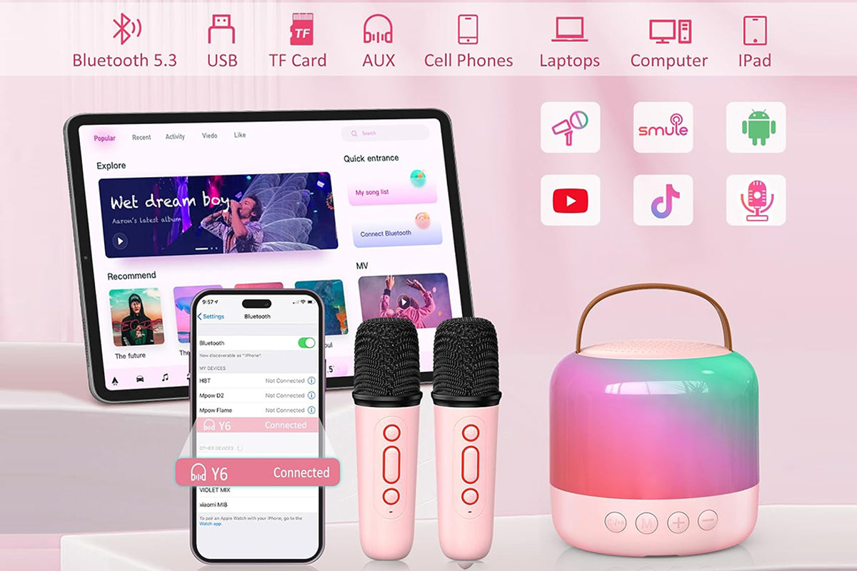 Mini Karaoke Machine for Adults Portable Bluetooth Speaker with 2 Wireless Microphones Christmas Birthday Holiday Toy Gifts-Pink