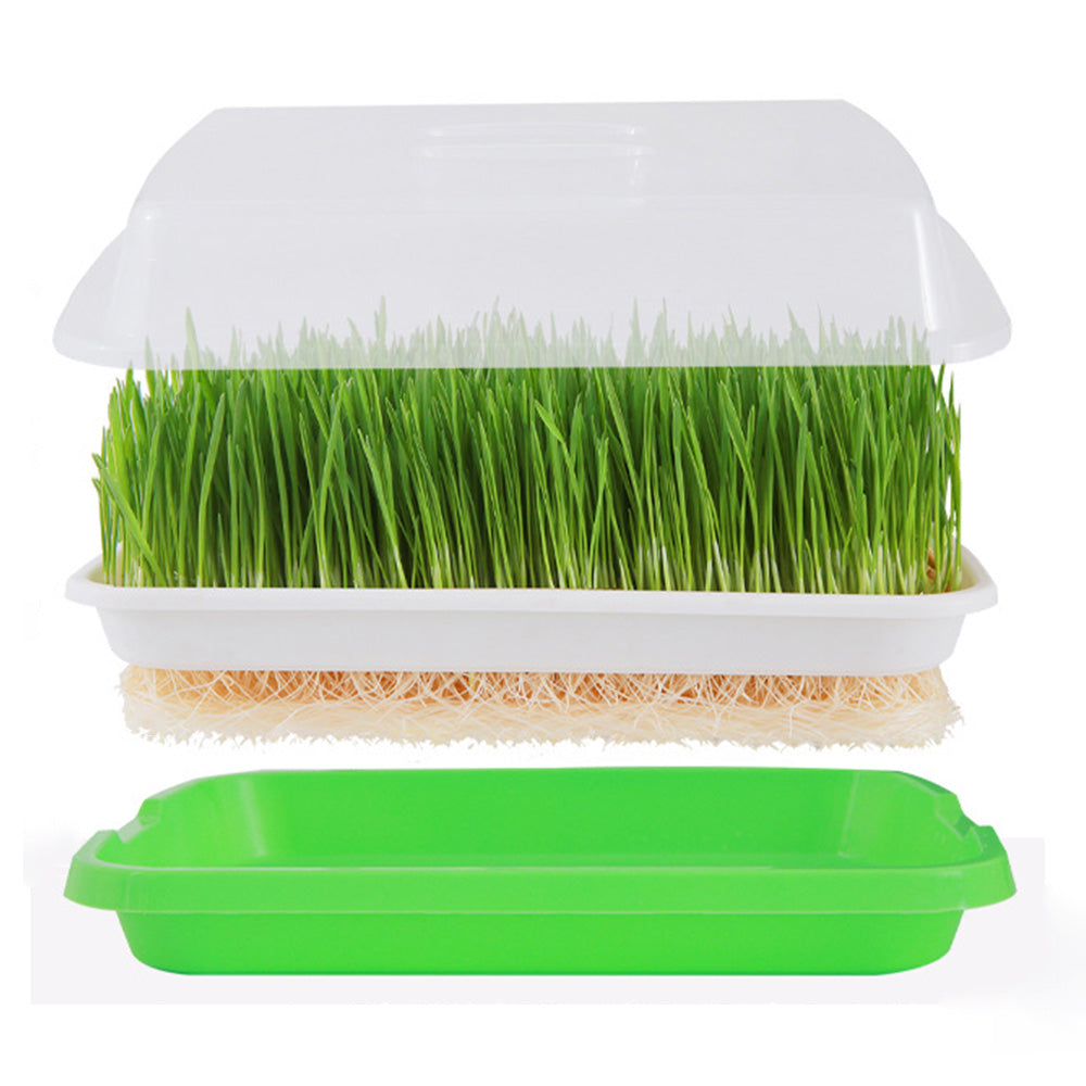 5Pcs Set Seed Sprouting Trays with Drain Holes Microgreens Growing Container Seed Germination Propagation Trays