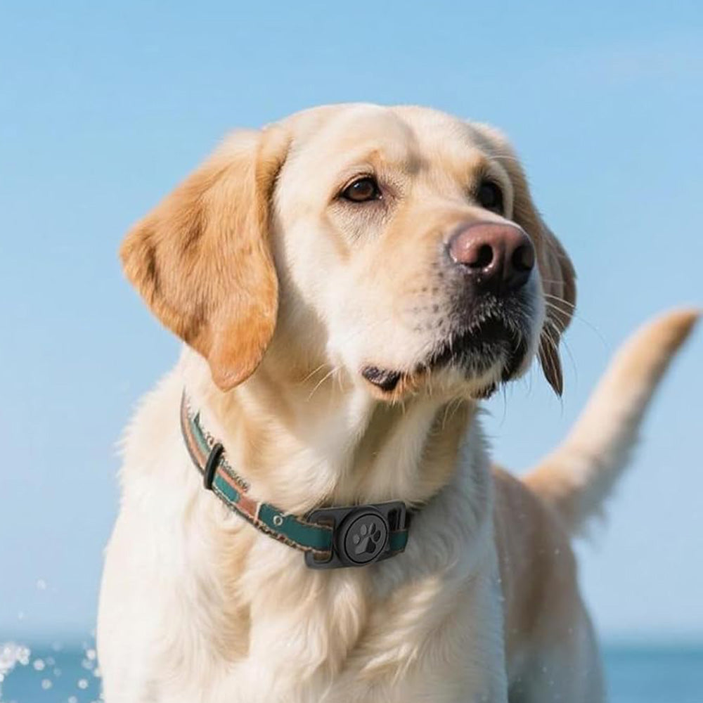 2PCS Waterproof Silicone Dog Collar Holder for Apple AirTag Black