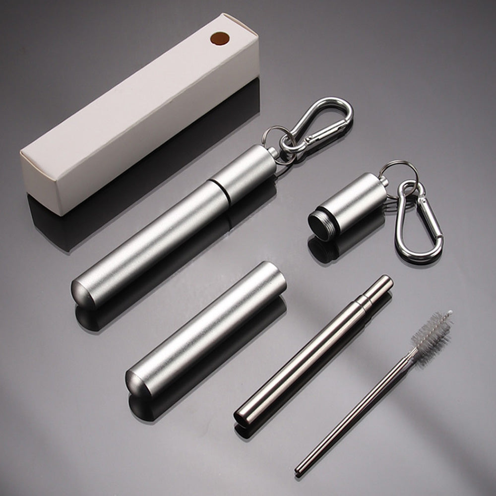 2 Piece Collapsible Stainless Steel Travel Straws with Cases - Silver