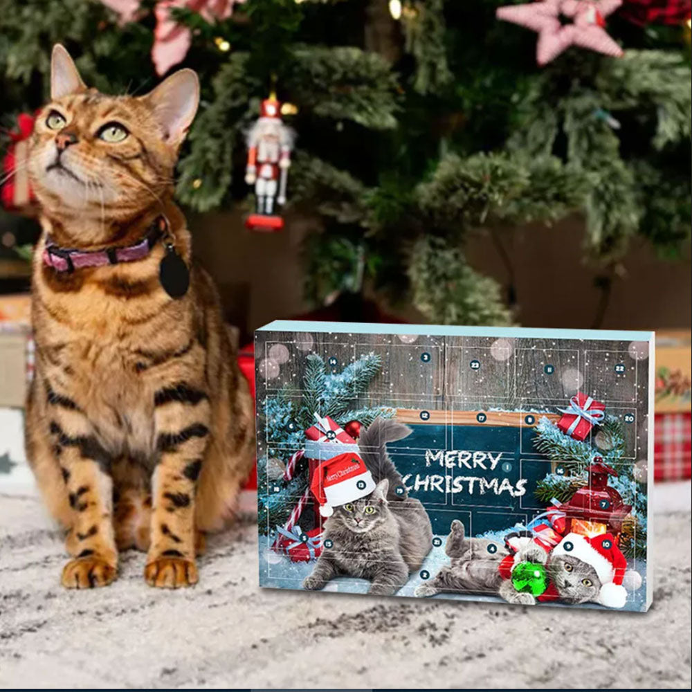 Xmas Cat Toys Advent Calendar 24 DaysChristmas Countdown Calendar for Kitten