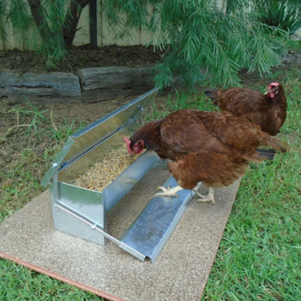 Automatic Chicken Feeder Self Opening Food Feeder Treadle