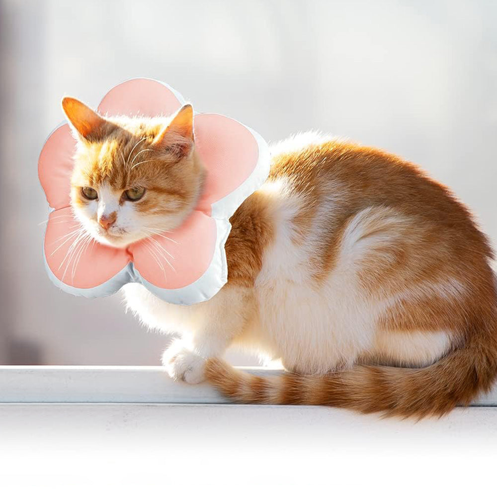 Cat Cone Collar Elizabethan Collar Anti-Bite Lick Cat Recovery Neck Collar Orange