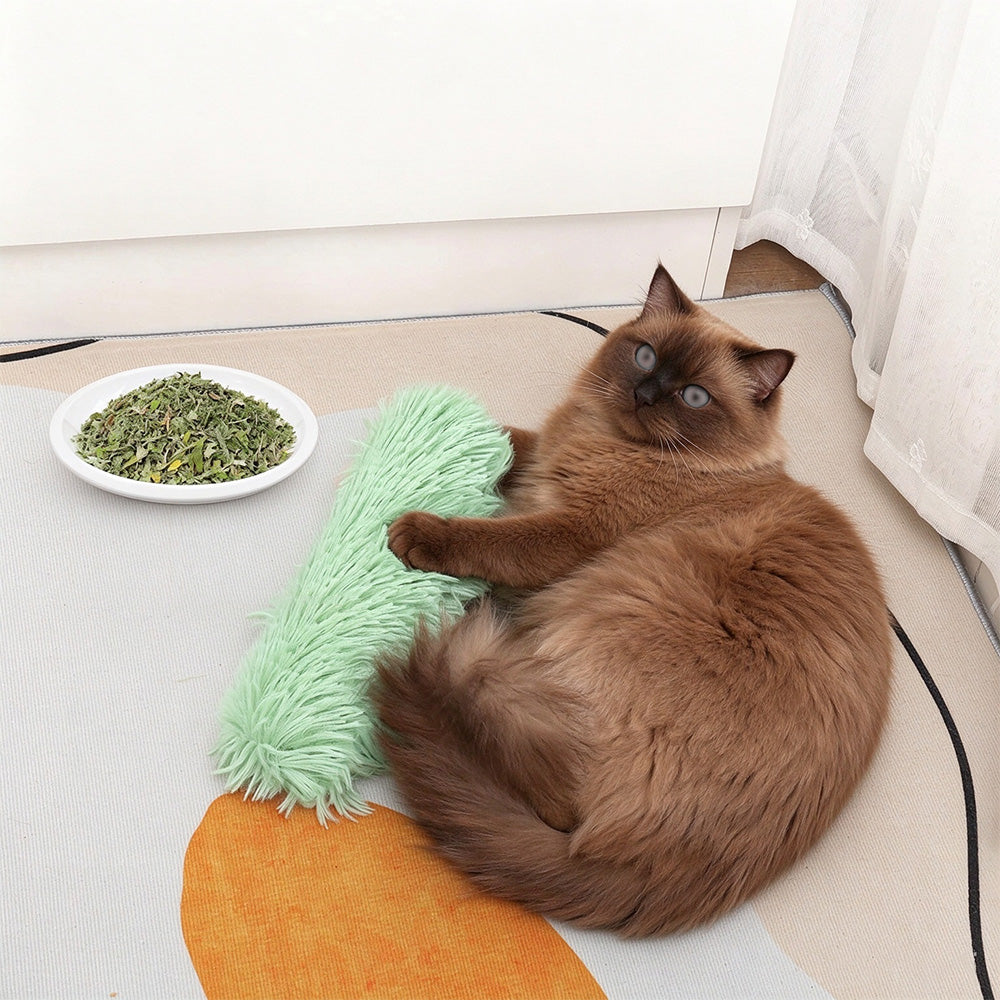 3 Plush Interactive Cat Toys with Crinkle Paper for Cats and Kittens