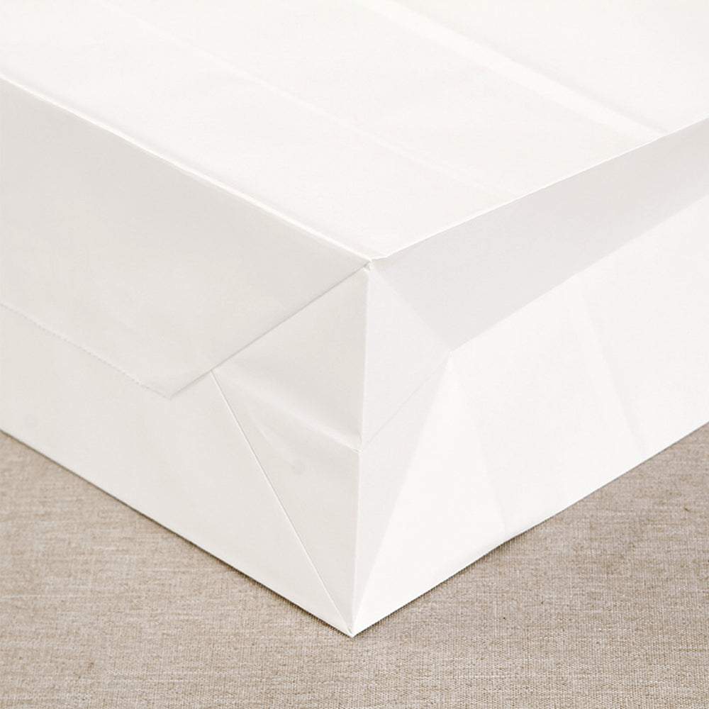 10Pcs Kraft Paper Bag Party Favor Gift Bags with Handle Shopping Bags