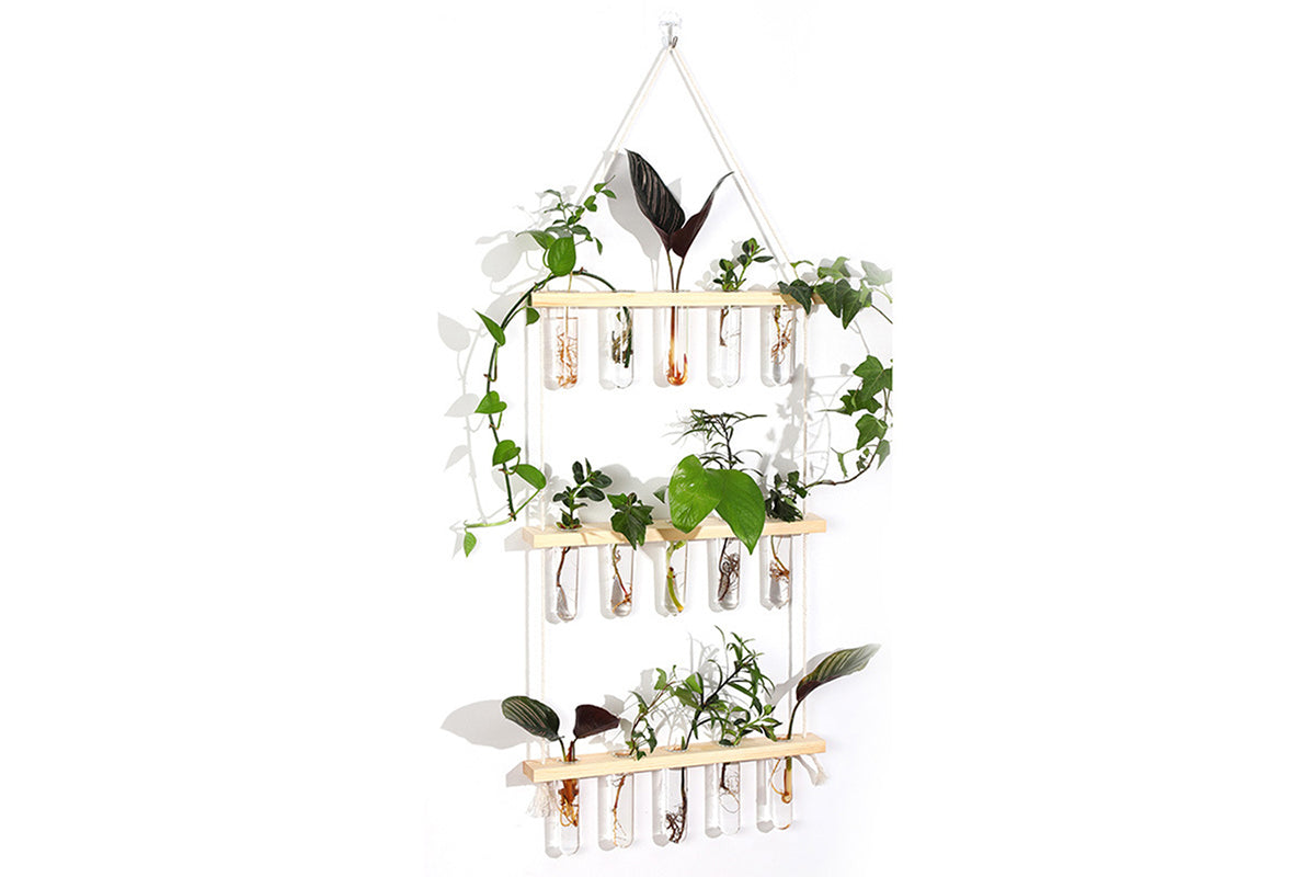 2pcs 3 Tiered Plant Hanger Flower Wall Hanging Propagation Station for Home Office Decor-Style1
