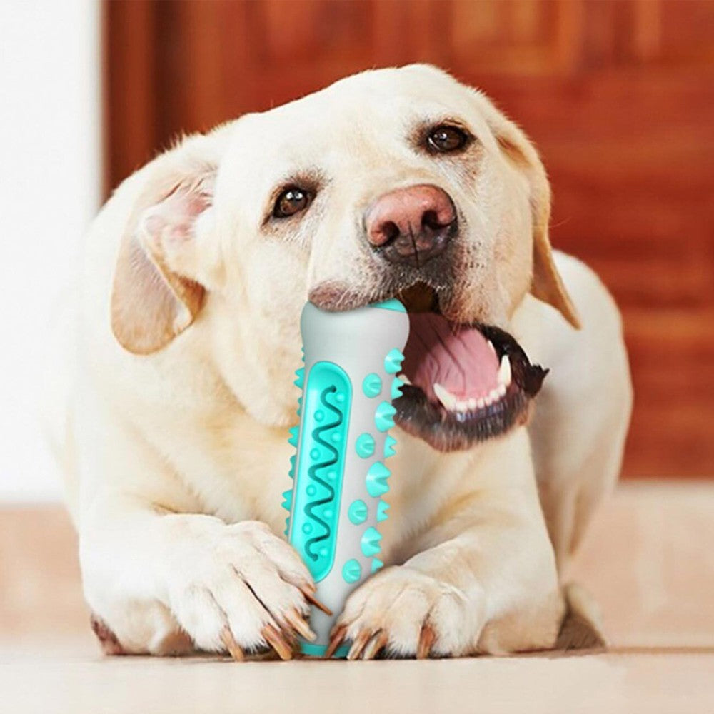 3Pcs Dog Chew Toy Dog Teeth Cleaning Toy Pet Interactive Toy
