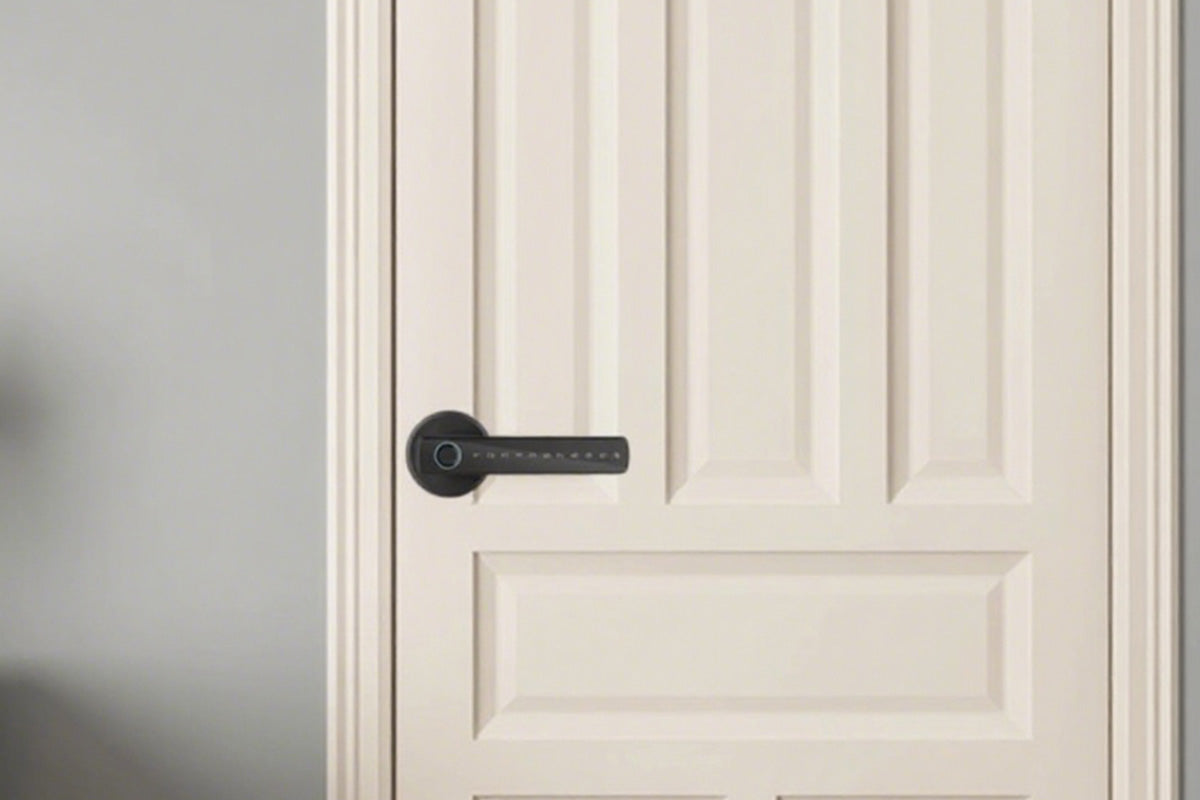 5 in 1 Smart Door Lock Fingerprint Door Knob with IC Cards and Backup Keys -Black
