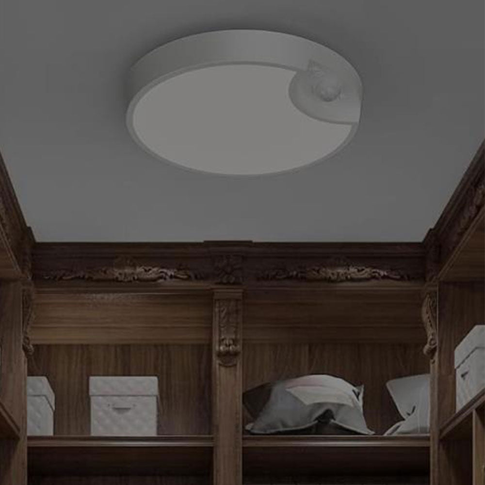Motion Sensor Ceiling Light USB Rechargeable Induction Night Light for Closets Shower Stairs Hallway