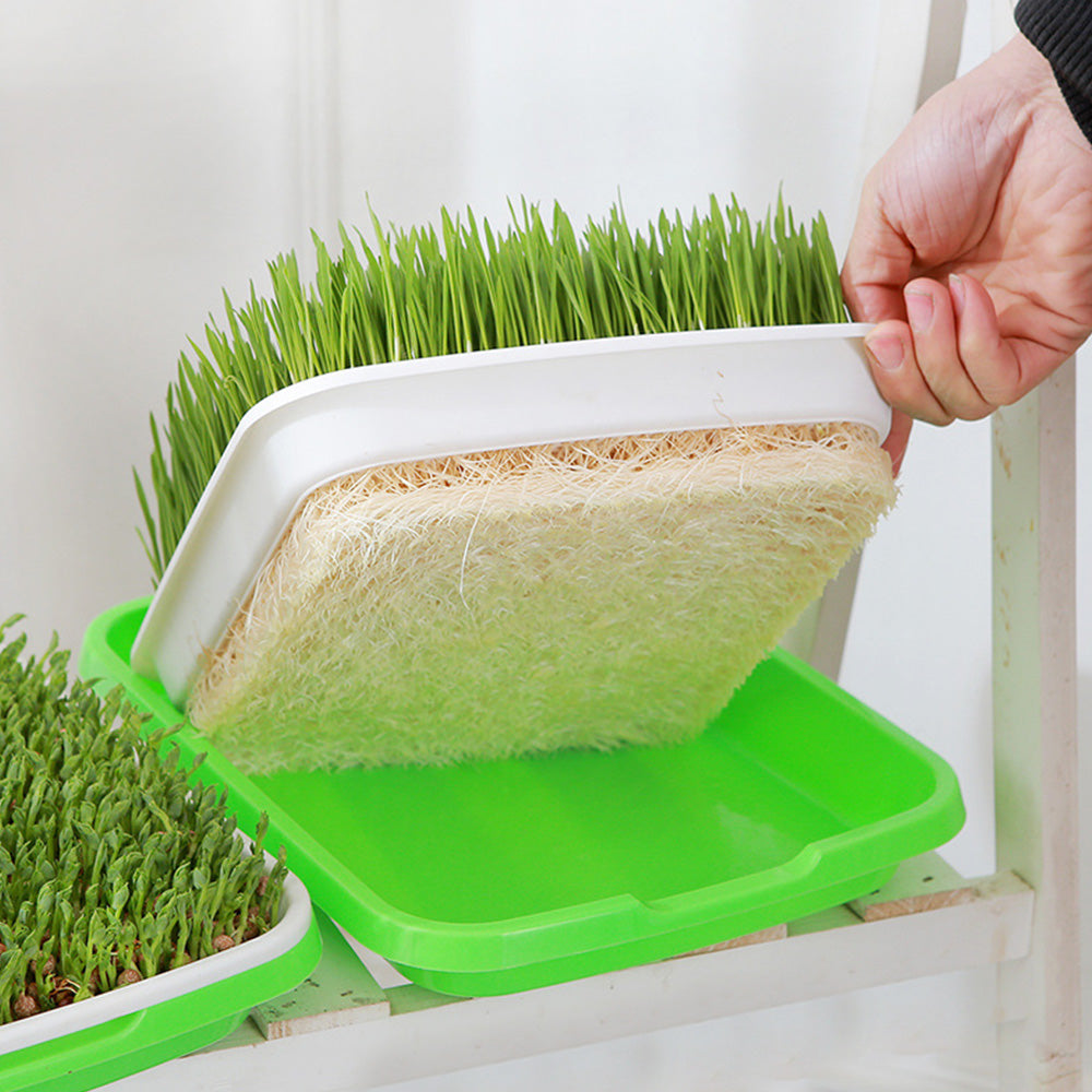 5Pcs Set Seed Sprouting Trays with Drain Holes Microgreens Growing Container Seed Germination Propagation Trays