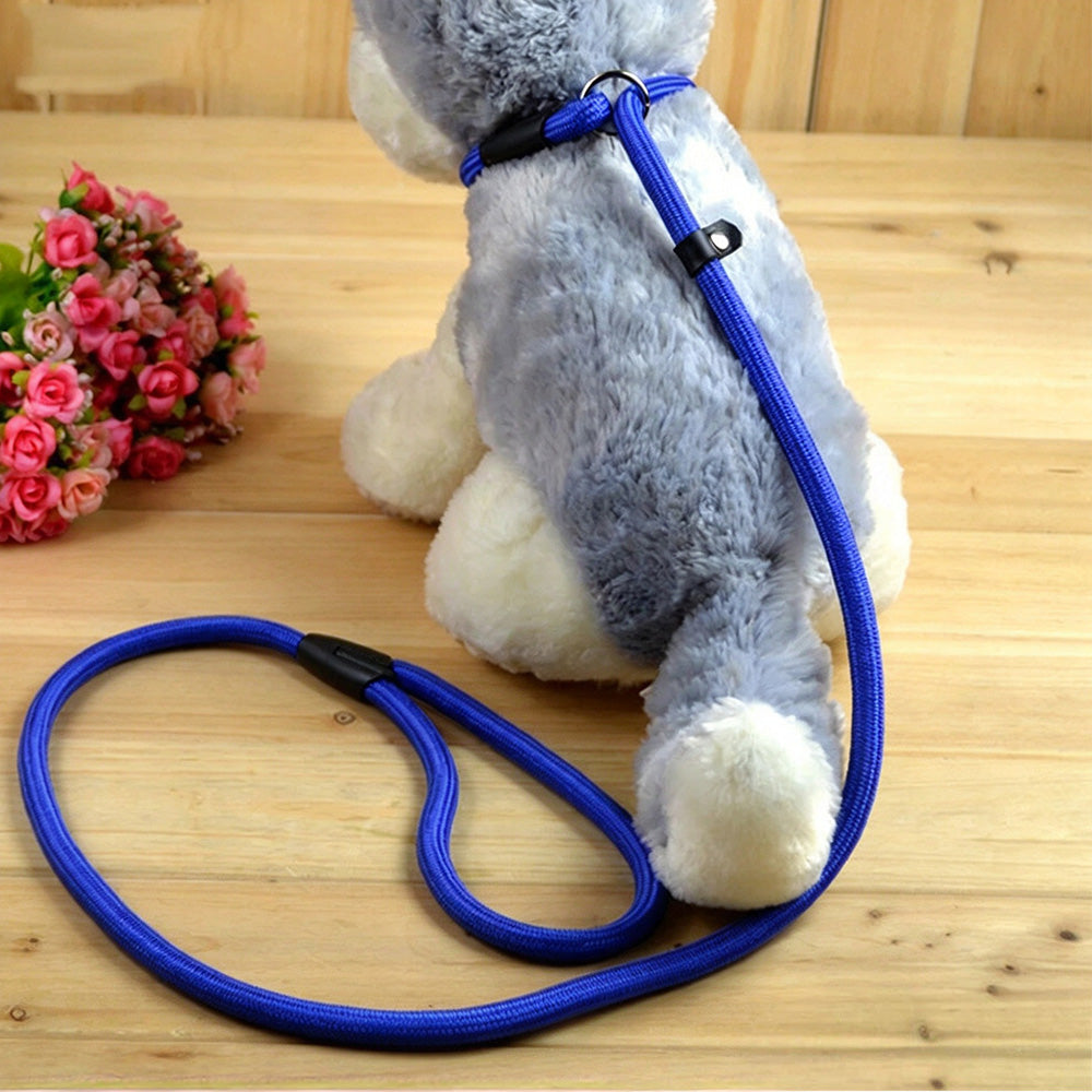 2 Pack 1.4M Pet Training Leash Slip Lead Pets Nylon Rope - Blue