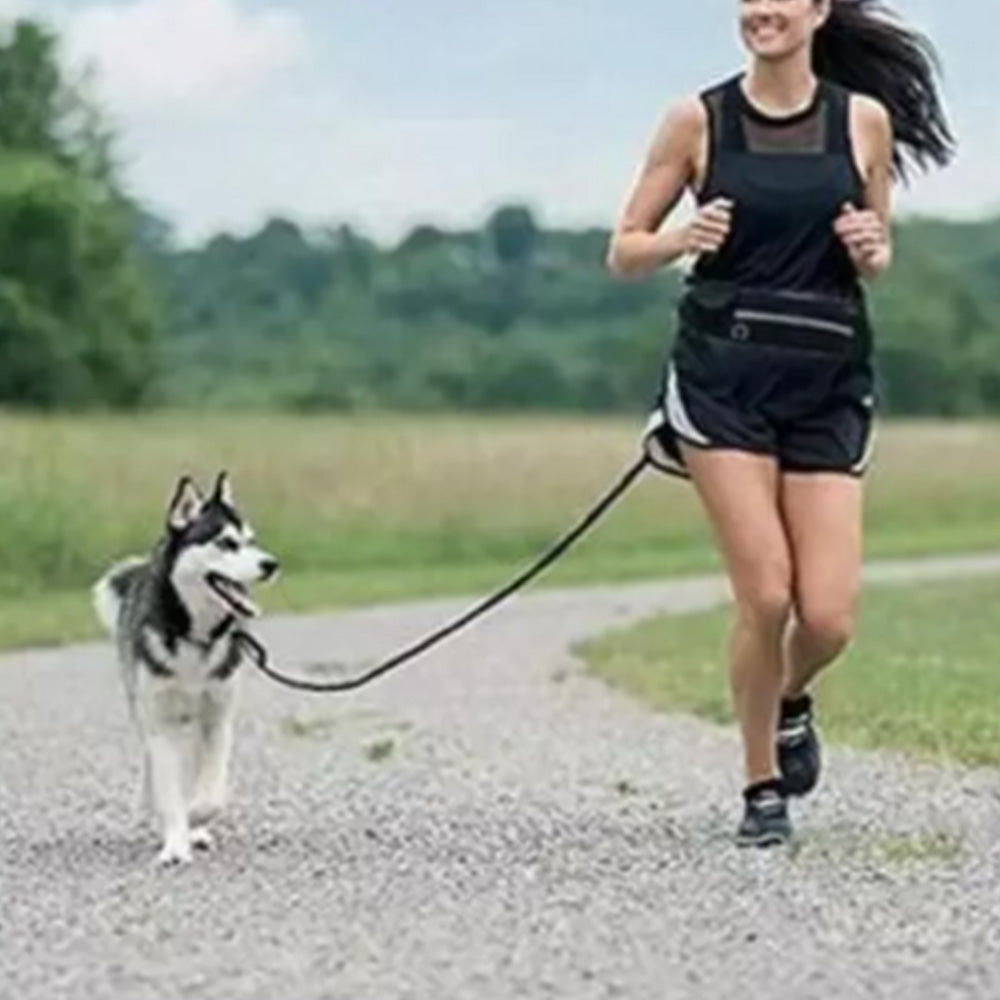 Hands Free Dog Walking Waist Bag with Adjustable Dog Leash Waist Belt Pouch Dog Running Rope Black
