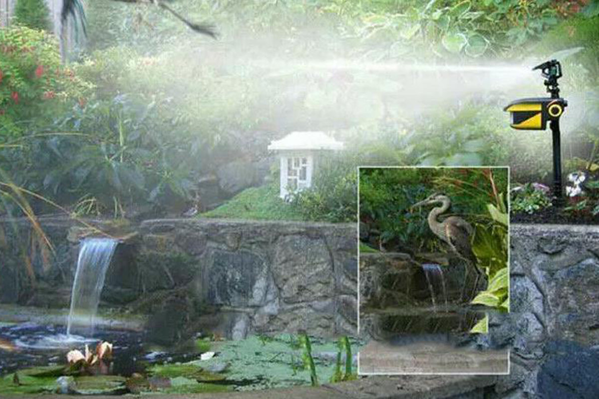 Motion Activated Sprinkler Animal Repellent for Yard Solar Powered Deer Cat and Squirrel Deterrent