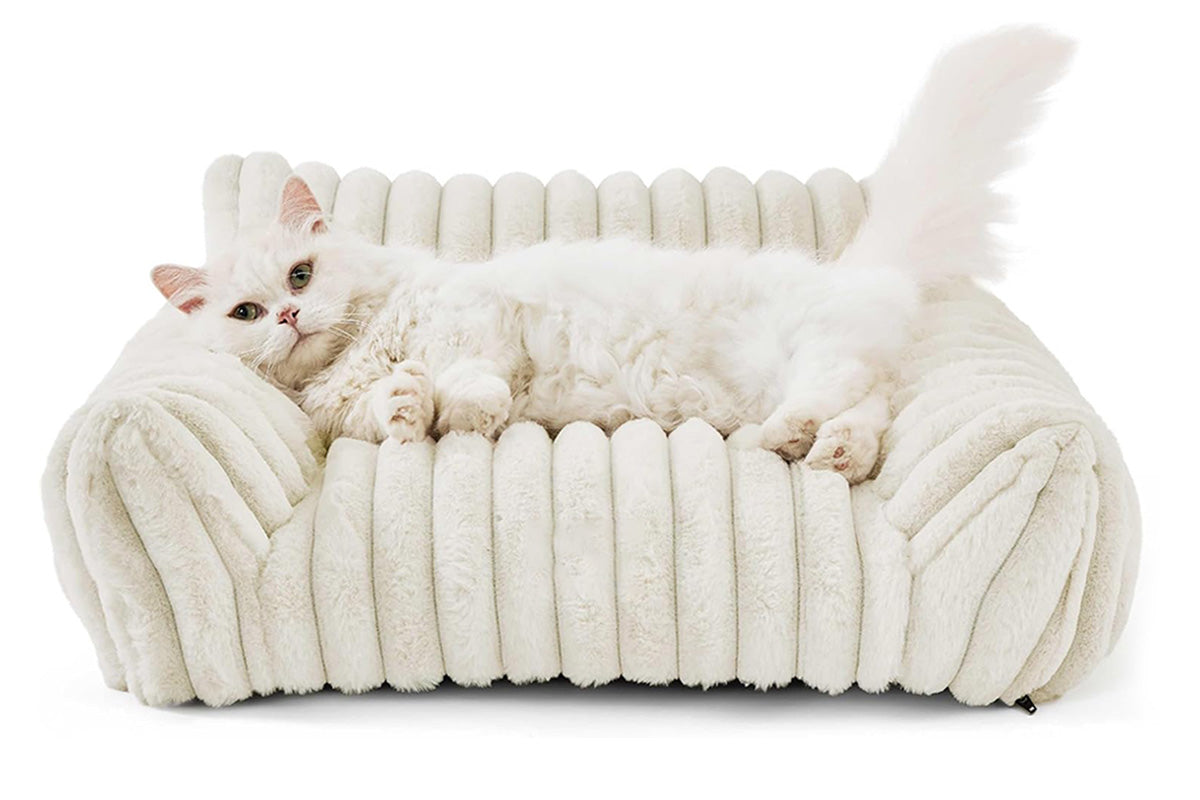 Cat Couch Bed Fluffy Pet Sofa with Removable Washable Cover Non-Slip Bottom -White