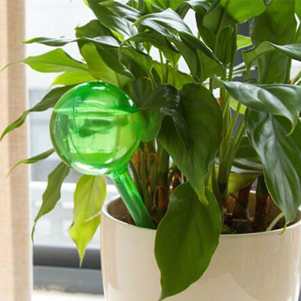 Water-Releasing Globe Stakes Automatic Water Bulbs