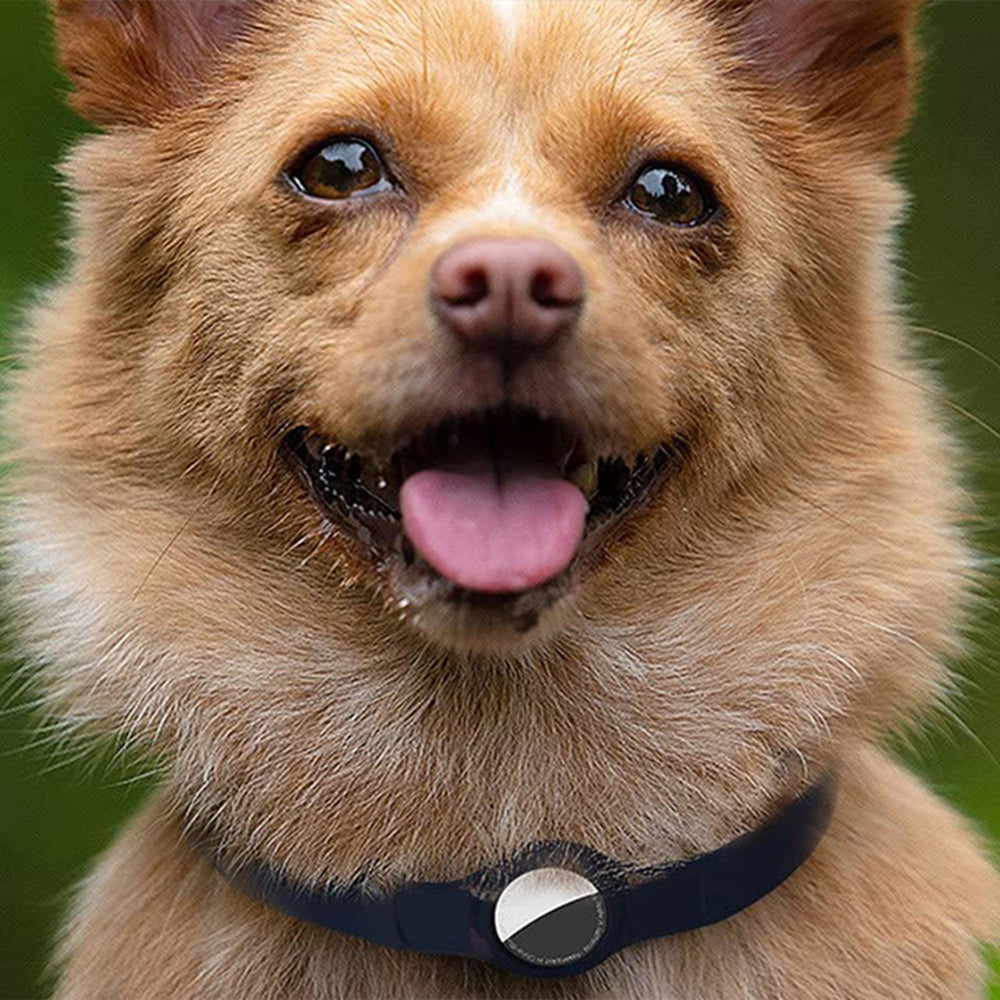 Pet Collar with AirTag Container Black