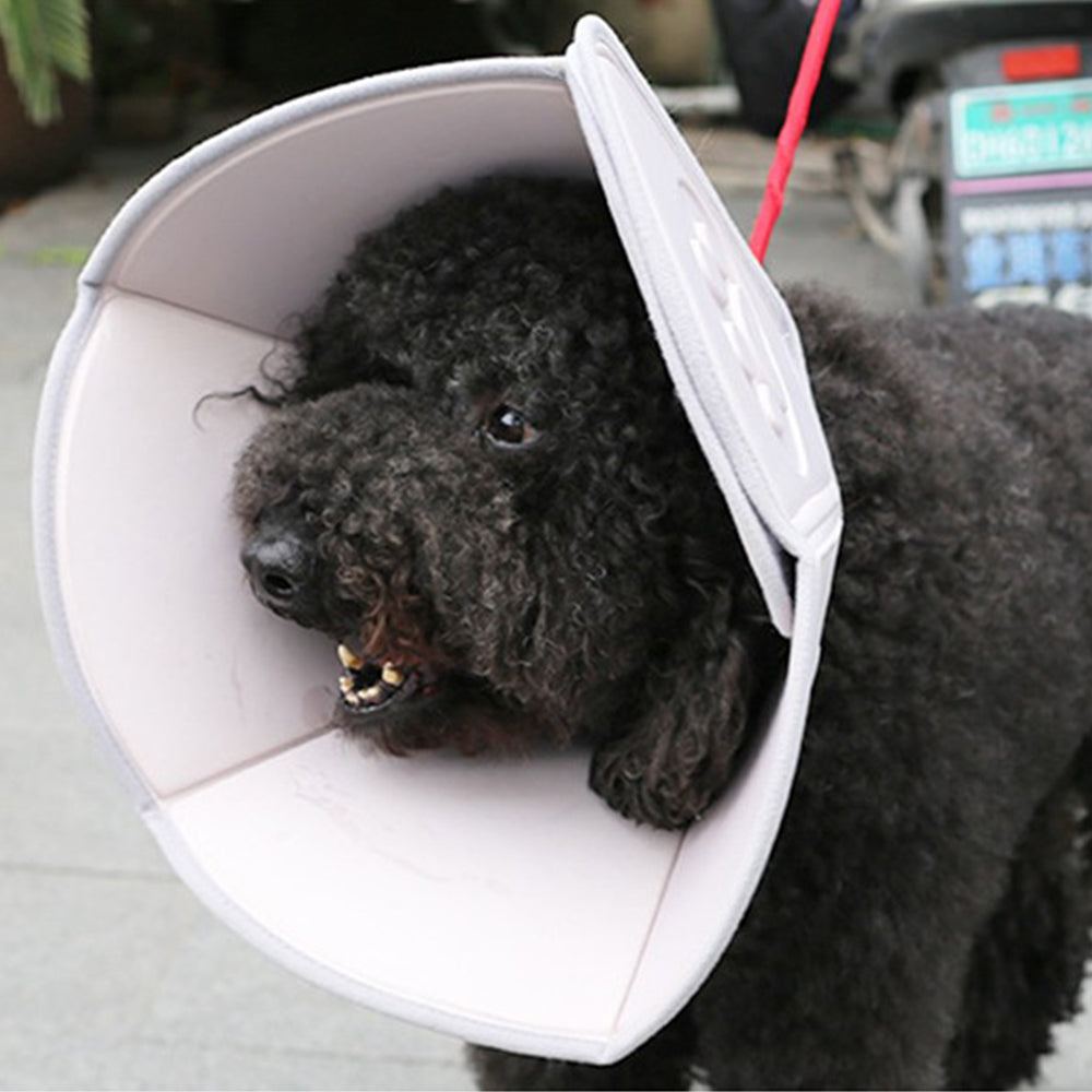 Pet Recovery Collar Cone Adjustable Soft Cone for Dogs Cats -L