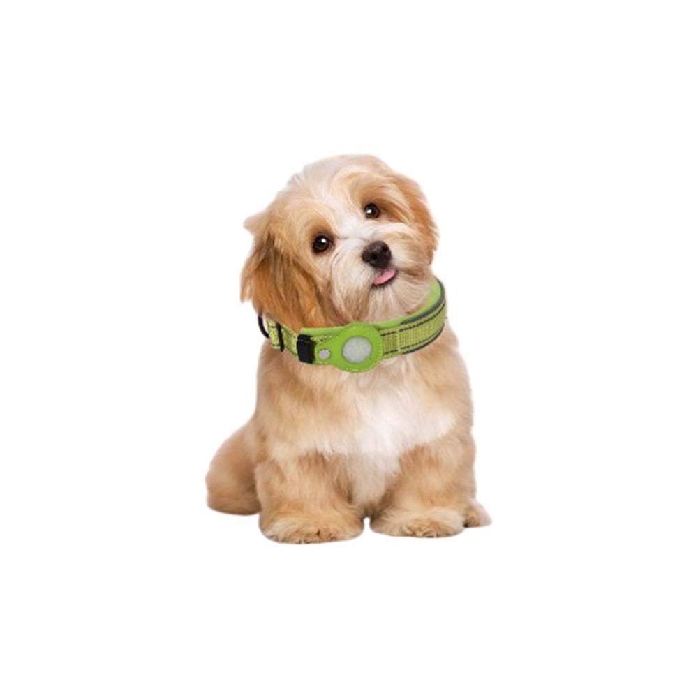 Pet Dog Collar with Airtag Protective Case Green