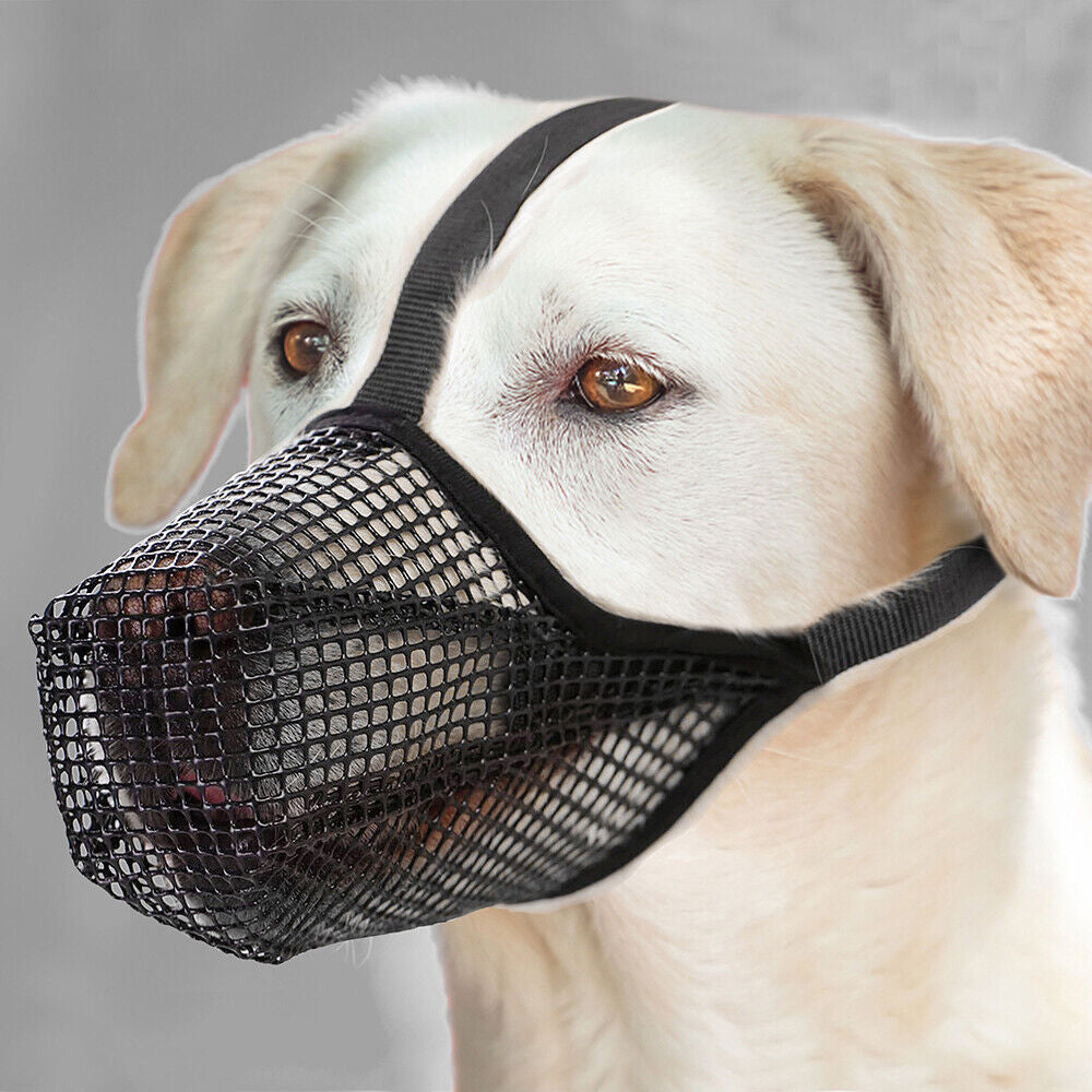 2pcs Dog Muzzle Anti Biting Barking Chewing Breathable Air Mesh Pet Muzzle -L