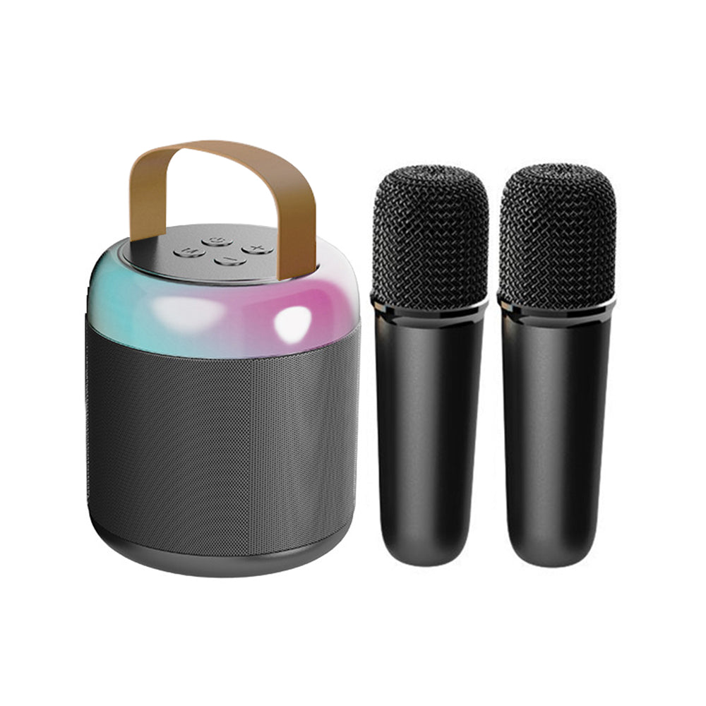 Mini Karaoke Machine for Adults and Kids Portable Bluetooth Karaoke Speaker with 2 Wilreless Microphones -Black