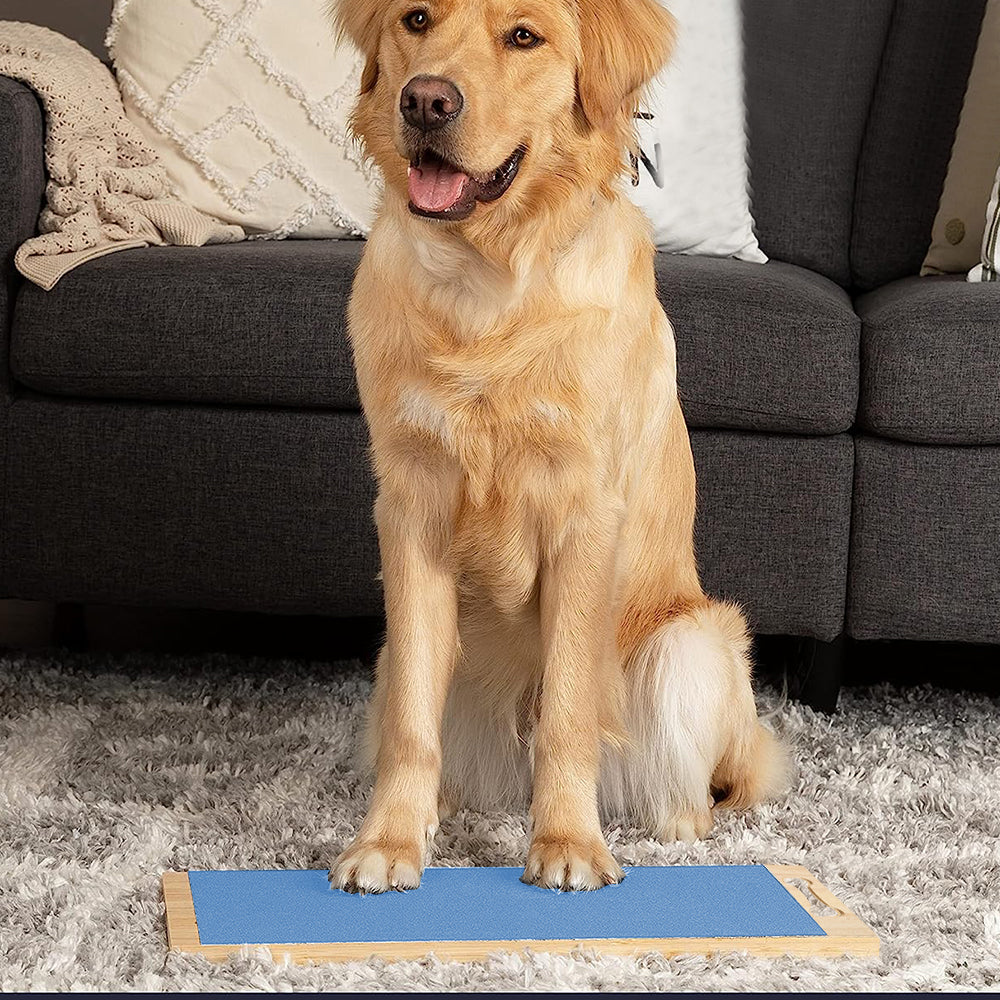Wooden Dog Nail Scratch Board Pet Paw Nail File Pad Grinding Safety Nail Trimmer Trainer Blue