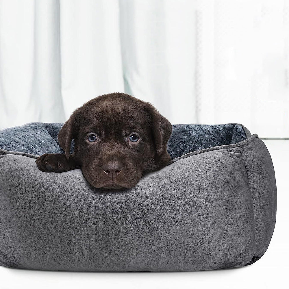Plush Pet Bed Raised Sides Soft Calming Sleeping Puppy Cuddler Gray