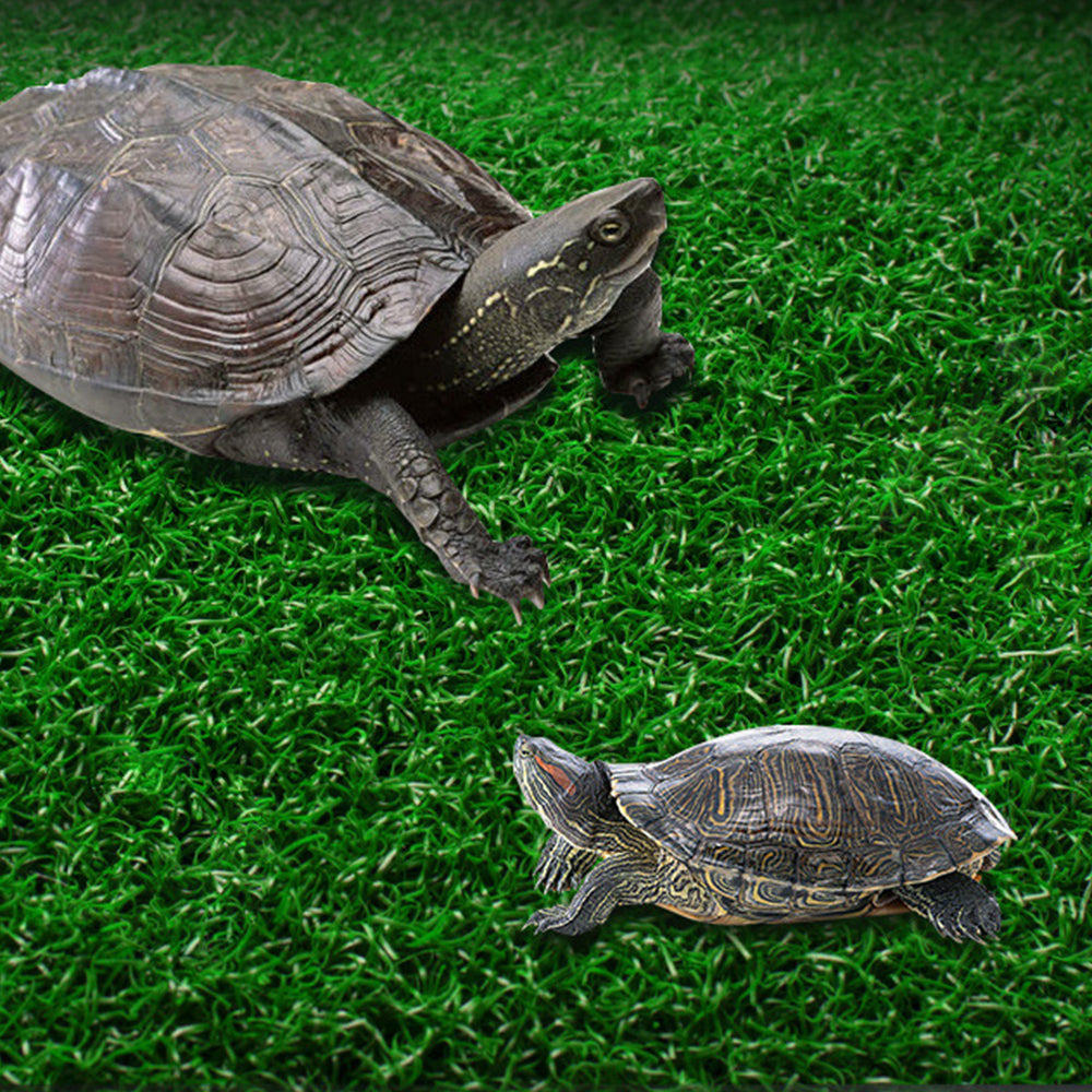 Turtle Basking Platform Simulation Grass Turtle Ramp for Fish Tank Aquarium