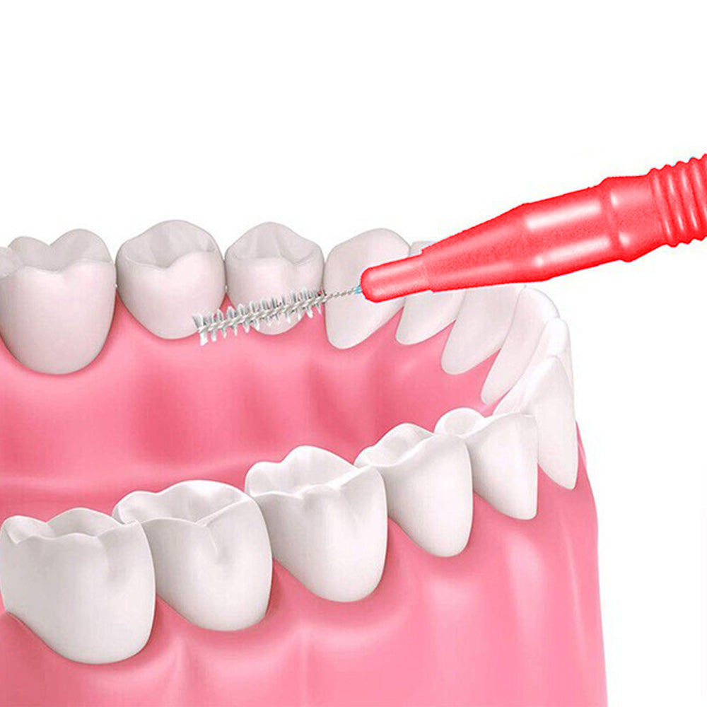 30 Piece Mini Cleaning Brushes for Braces Teeth Brows - Red