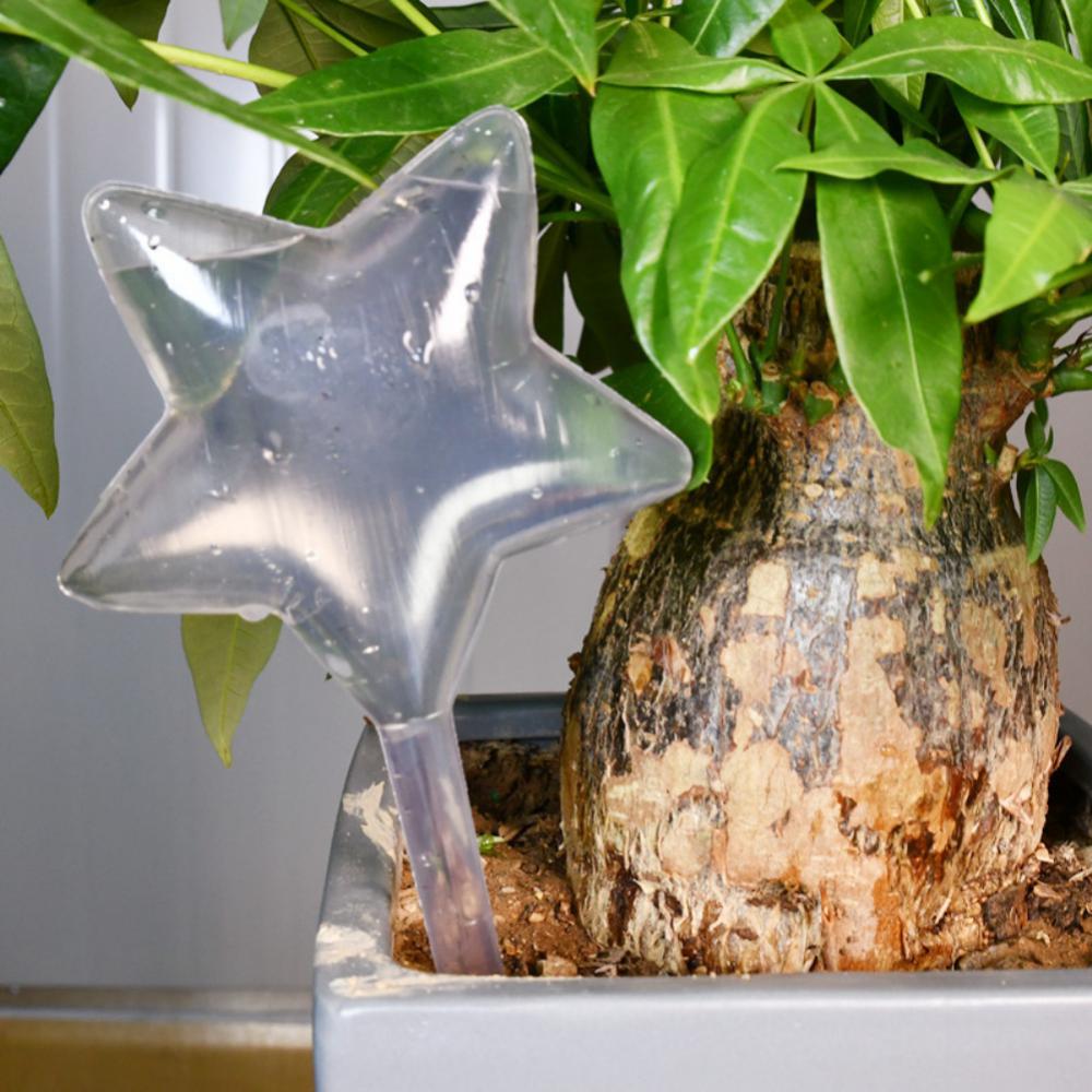 Star Shaped Self Watering Plant Spikes Automatic Watering Stakes for Succulents
